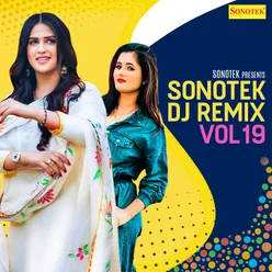 Sonotek DJ Remix Vol 19